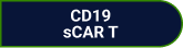 CD19 sCAR T